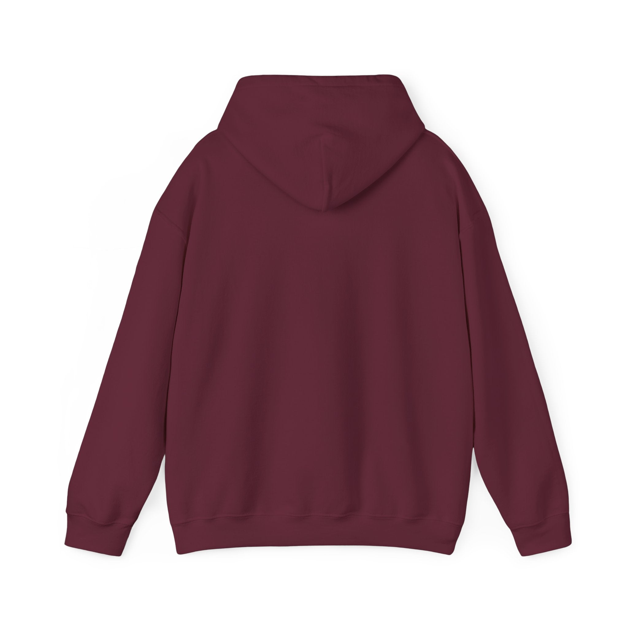 Eye Don't Chase Hooded Sweatshirt